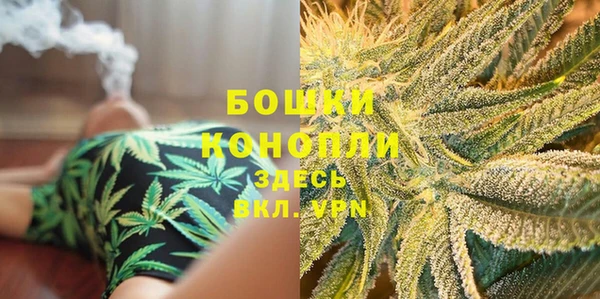 прущие грибы Медногорск