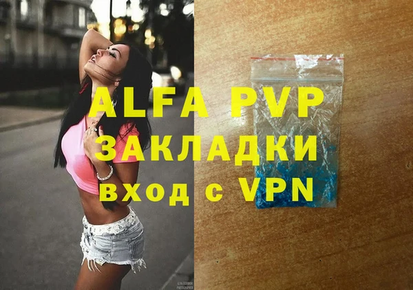 прущие грибы Медногорск