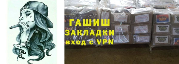 прущие грибы Медногорск
