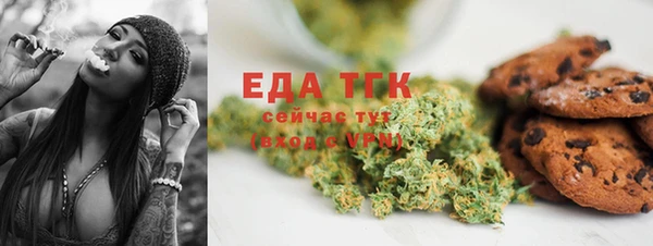 прущие грибы Медногорск