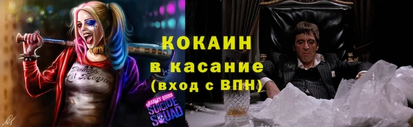 прущие грибы Медногорск