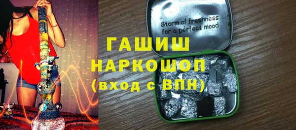 прущие грибы Медногорск