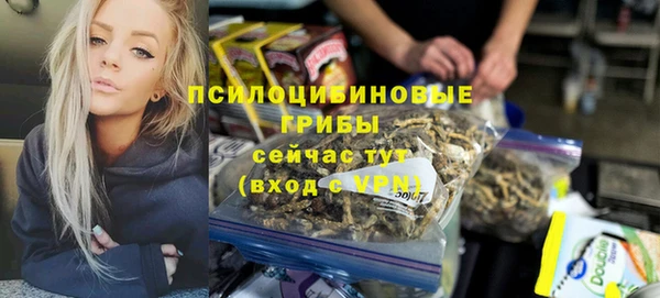 спиды Медвежьегорск