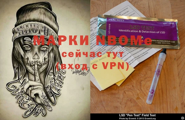 прущие грибы Медногорск