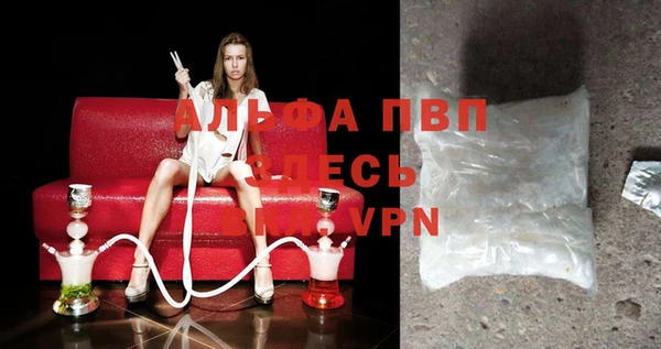 прущие грибы Медногорск