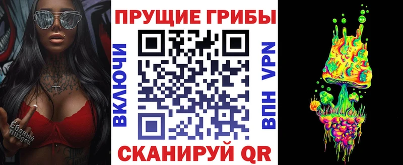 Галлюциногенные грибы Psilocybine cubensis  Котово 